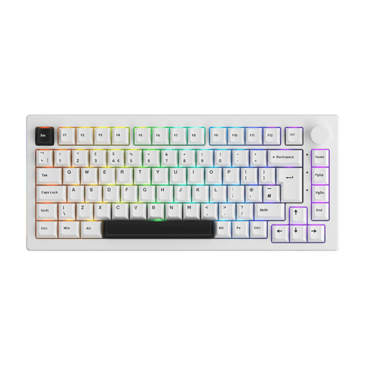 Akko 5075B Plus 75% Mechanical Gaming Keyboard ISO-UK Black On White Hot Swap Side LED RGB Multi-Modes 2.4GHz /USB Type-C/BT 5.0-Ninja Market